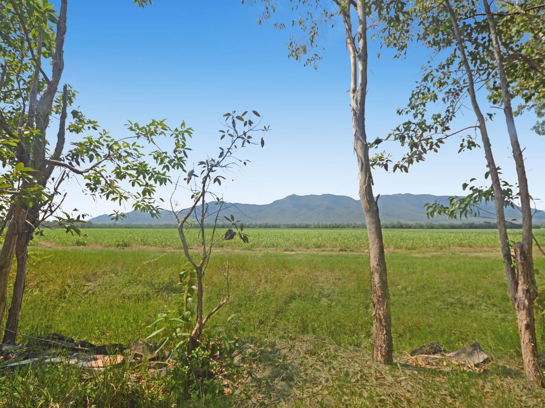 689 Ellerbeck Road, Kennedy, Kennedy - Thumbnail 4