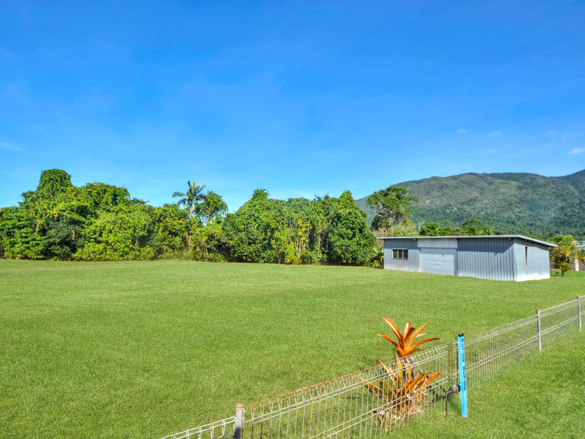 167 Murray Street, Tully, Tully - Thumbnail 6