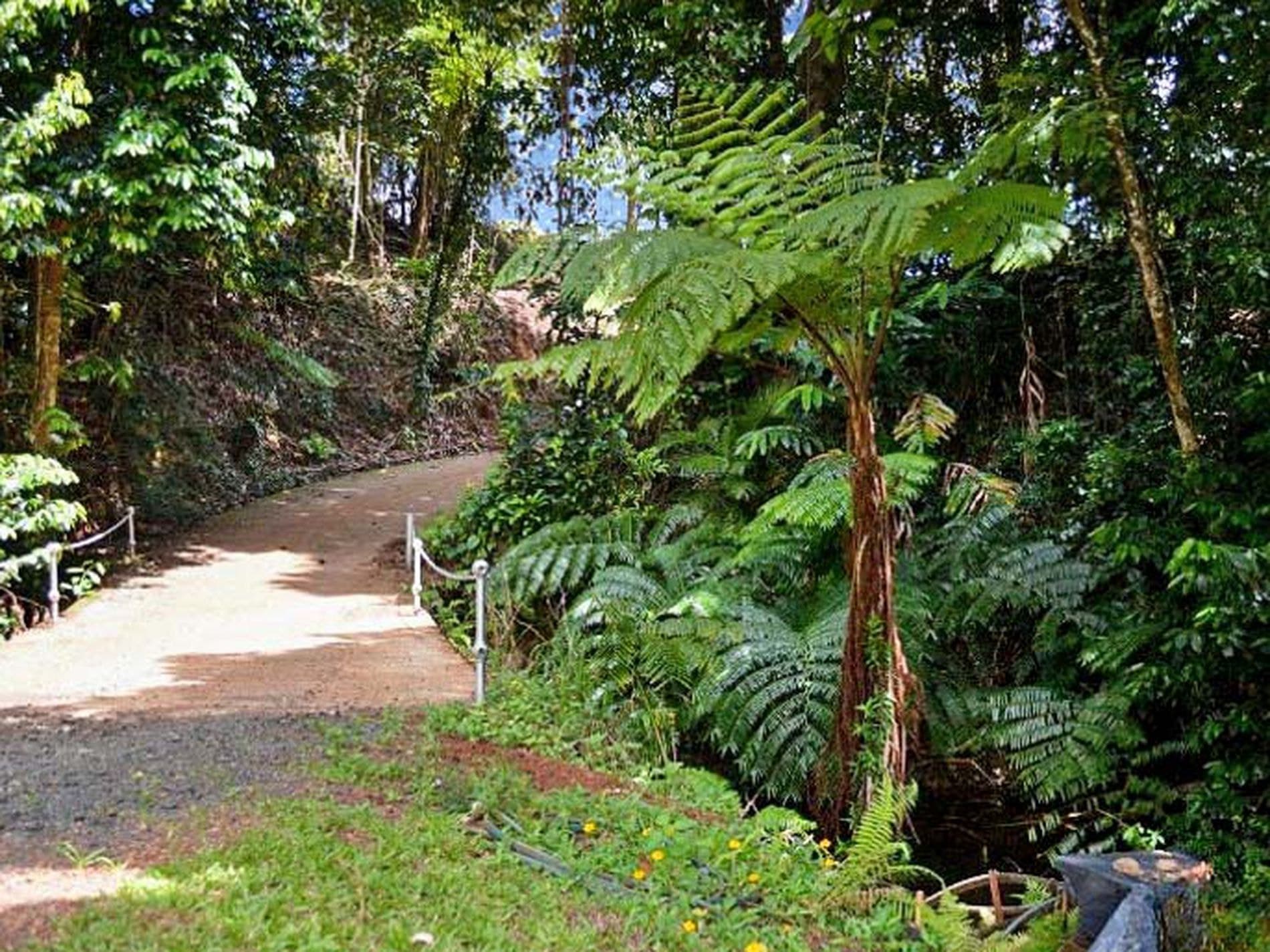 406 Donkin Road, Utchee Creek, Utchee Creek - Thumbnail 6