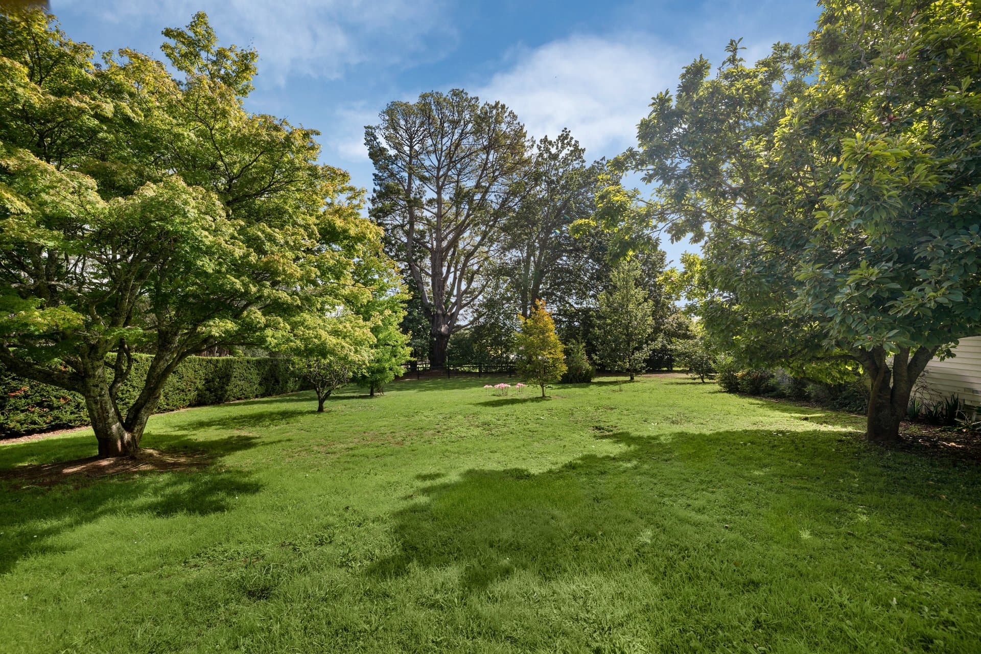 45 Lewis Road, Wandin North, Wandin North - Image 1