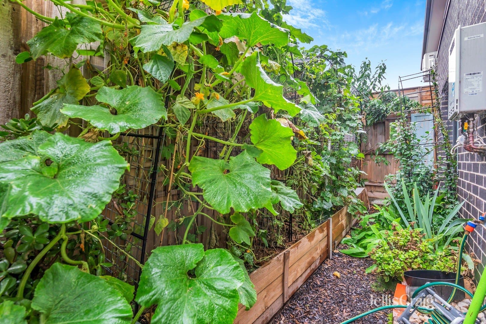 2/18 Loch Street, Coburg, Coburg - Image 1