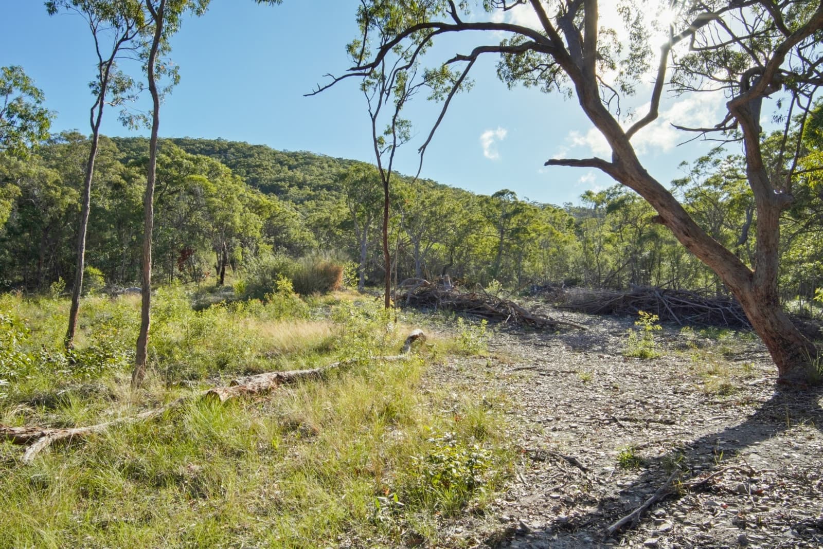 40 Jobson Road, AGNES WATER, Agnes Water - Thumbnail 2