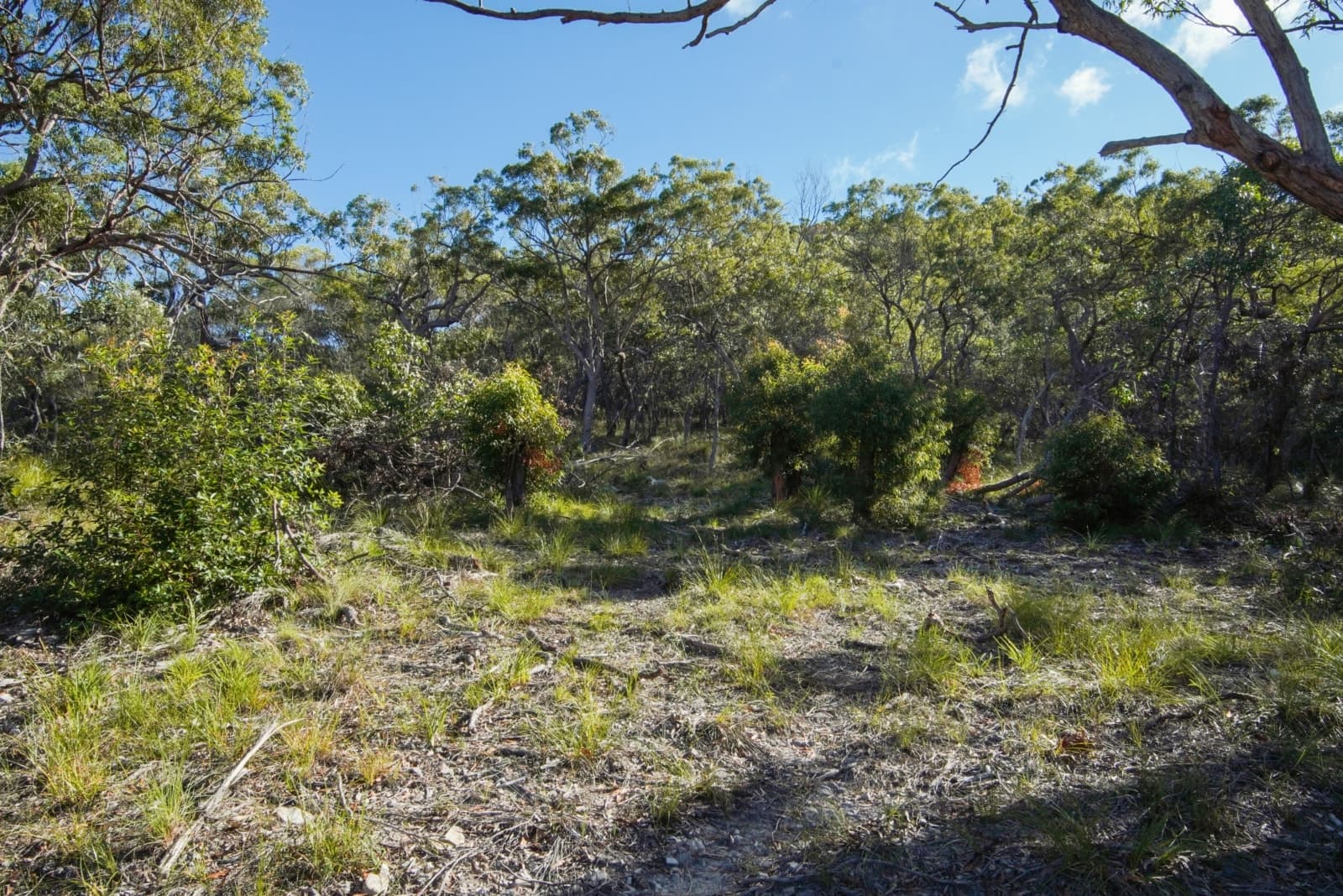 40 Jobson Road, AGNES WATER, Agnes Water - Thumbnail 5