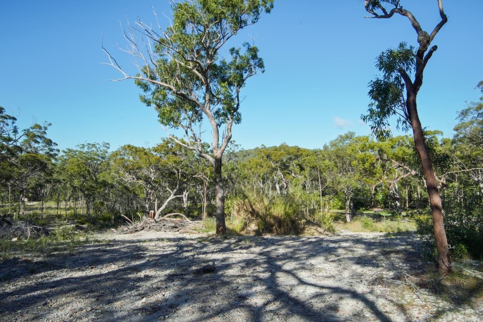 40 Jobson Road, AGNES WATER, Agnes Water - Thumbnail 6
