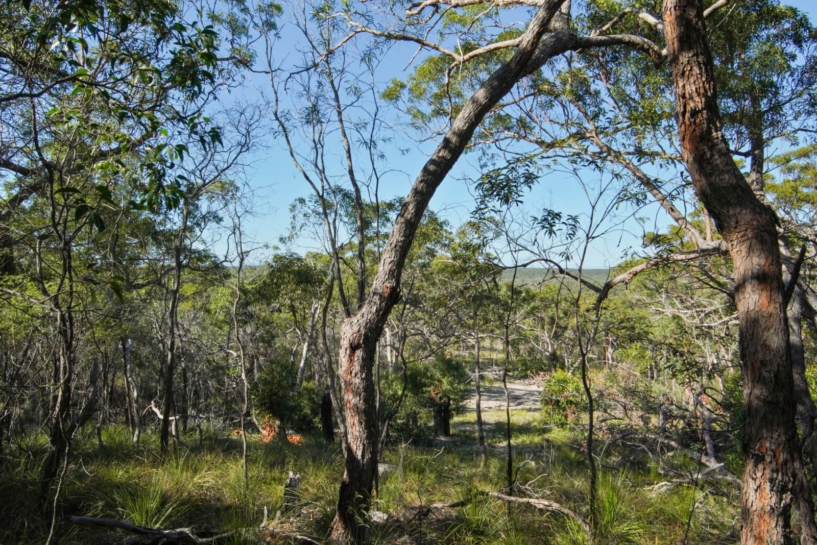 40 Jobson Road, AGNES WATER, Agnes Water - Thumbnail 7