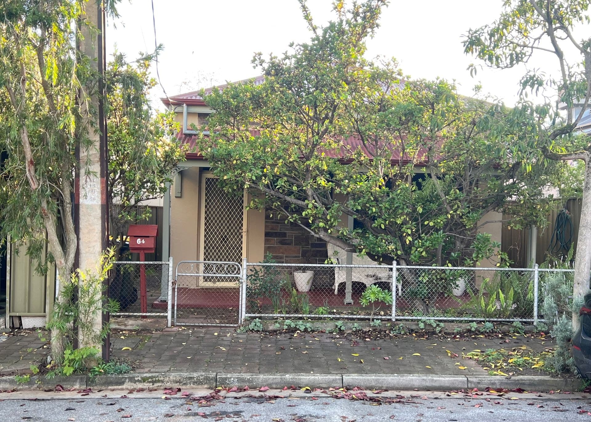 64 Alfred St, Parkside, SA, 5063, Parkside - Thumbnail 2