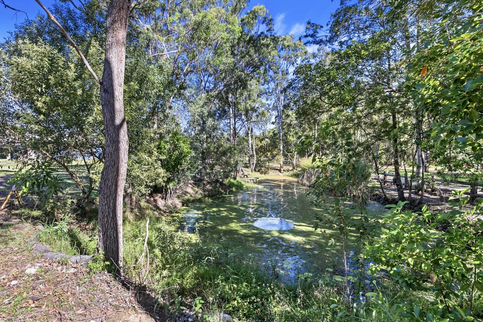 203 Central Road, TINANA, Tinana - Thumbnail 8
