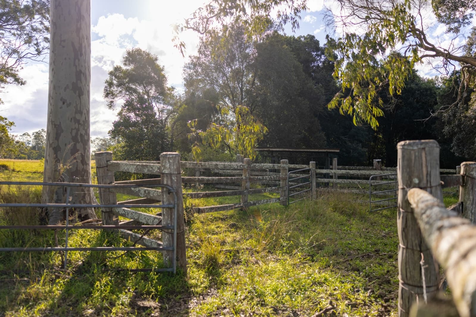 158 Somerset Road, KIMBRIKI, Kimbriki - Thumbnail 8