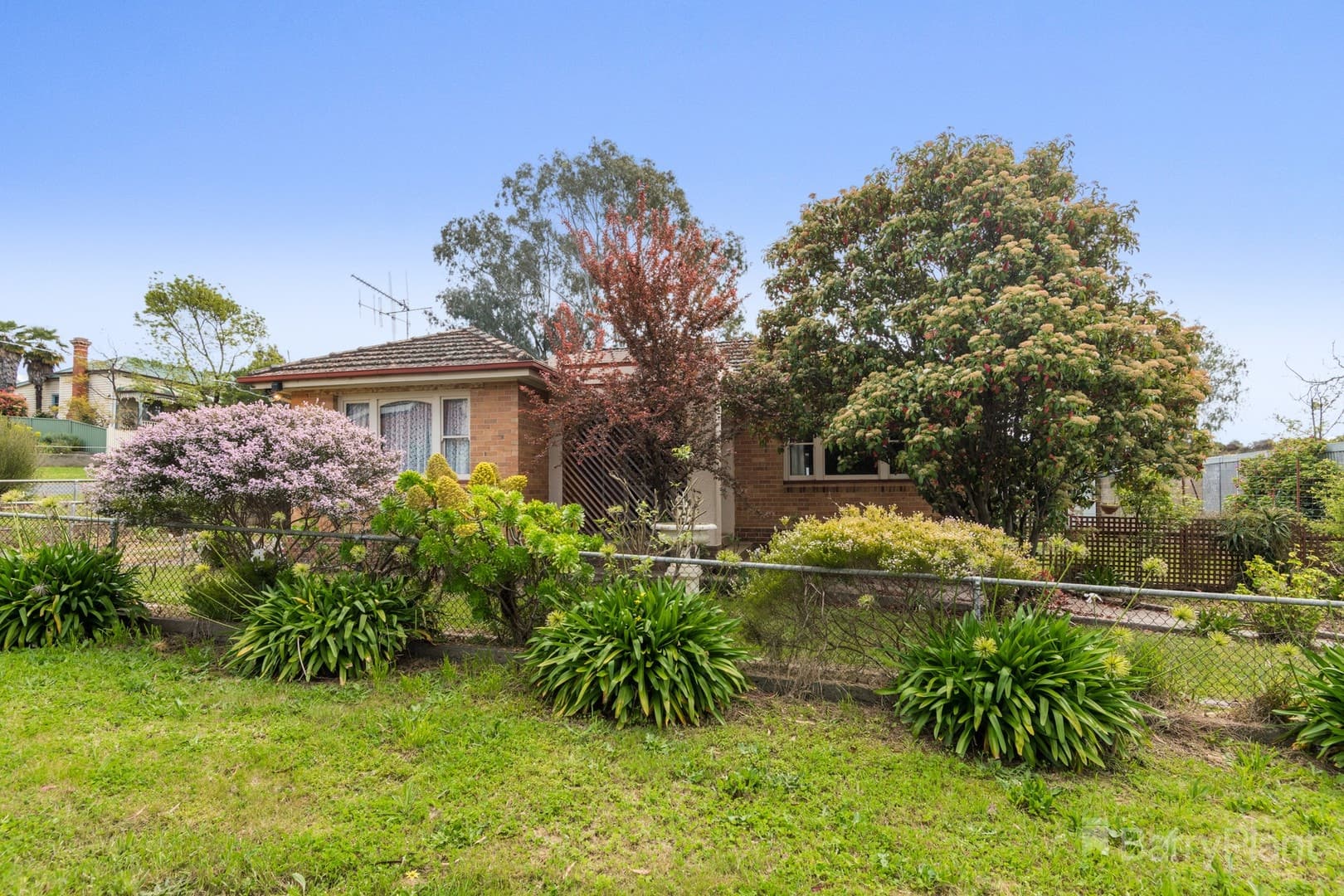 10 Stanfield Street, Long Gully, VIC 3550, Long Gully - Thumbnail 2