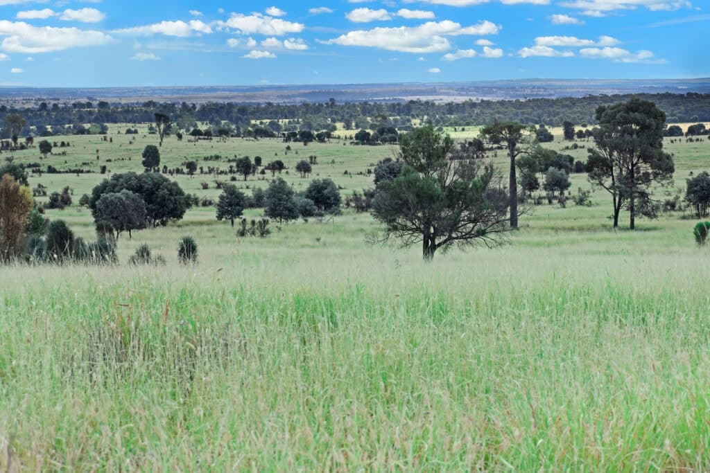 Kooringa , ROMA QLD 4455, Roma - Thumbnail 2