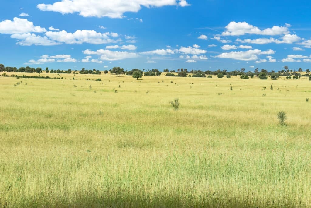Kooringa , ROMA QLD 4455, Roma - Thumbnail 3