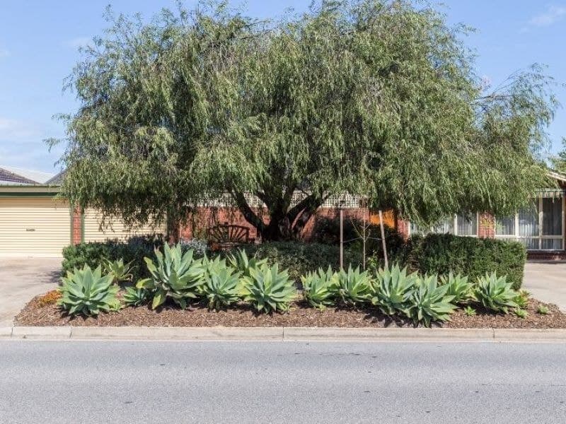 21 Lochside Drive, West Lakes - Image 1