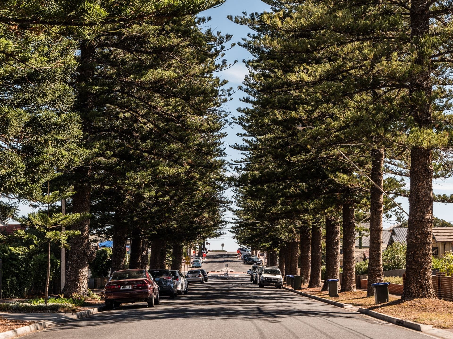 126 Marlborough Street, Henley Beach - Thumbnail 3
