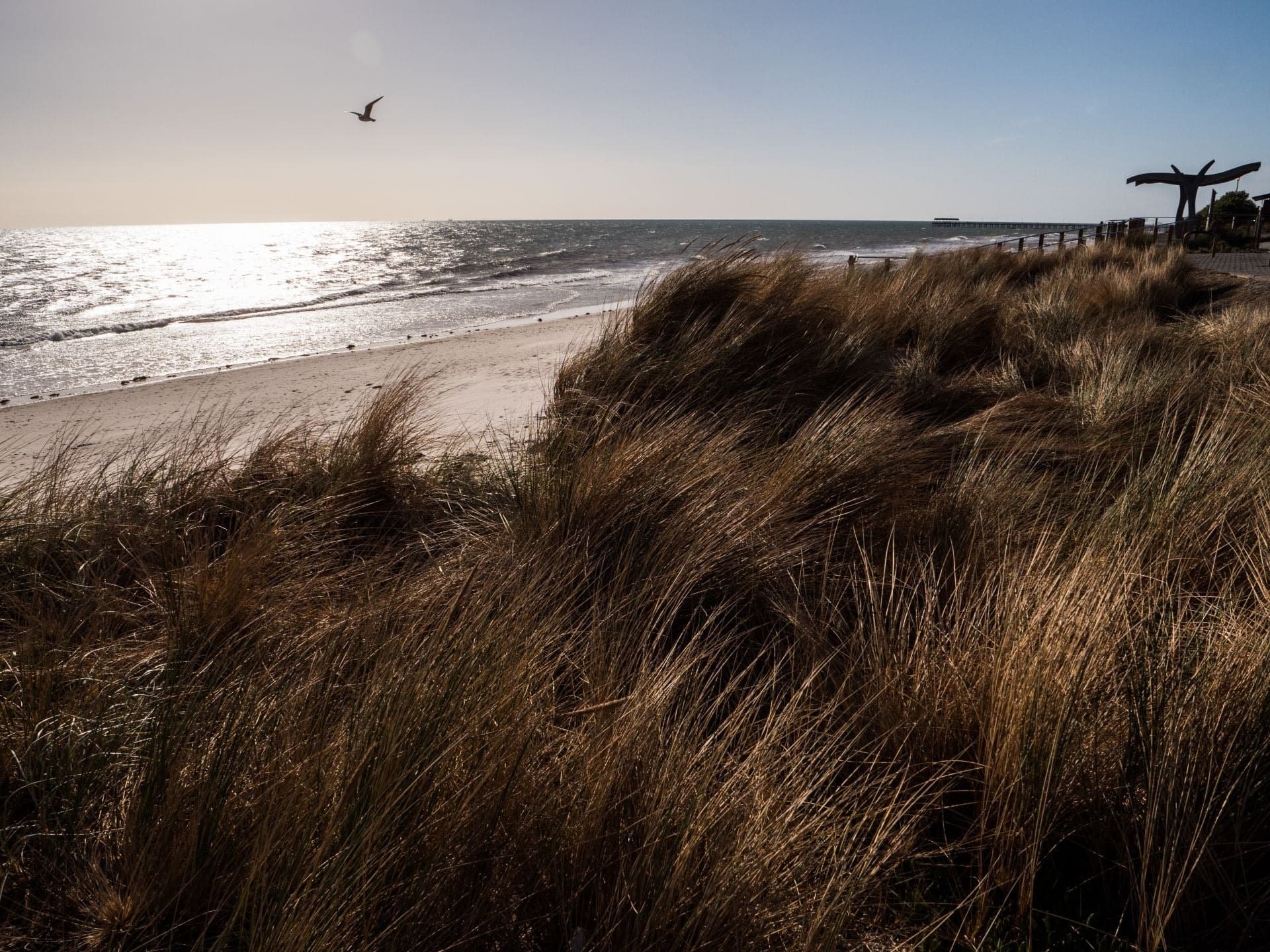 126 Marlborough Street, Henley Beach - Thumbnail 7