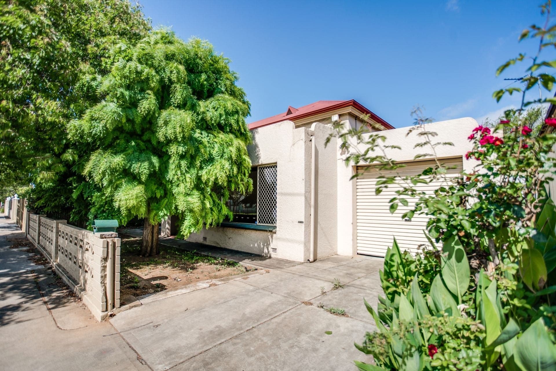 8 Bagot Avenue, Mile End - Thumbnail 2