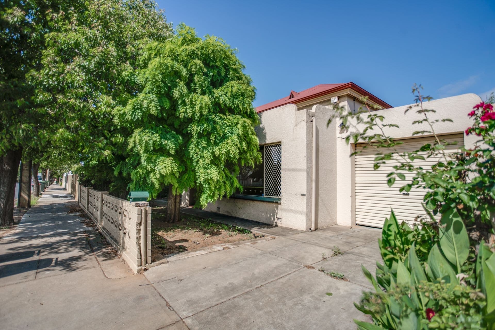 8 Bagot Avenue, Mile End - Thumbnail 3