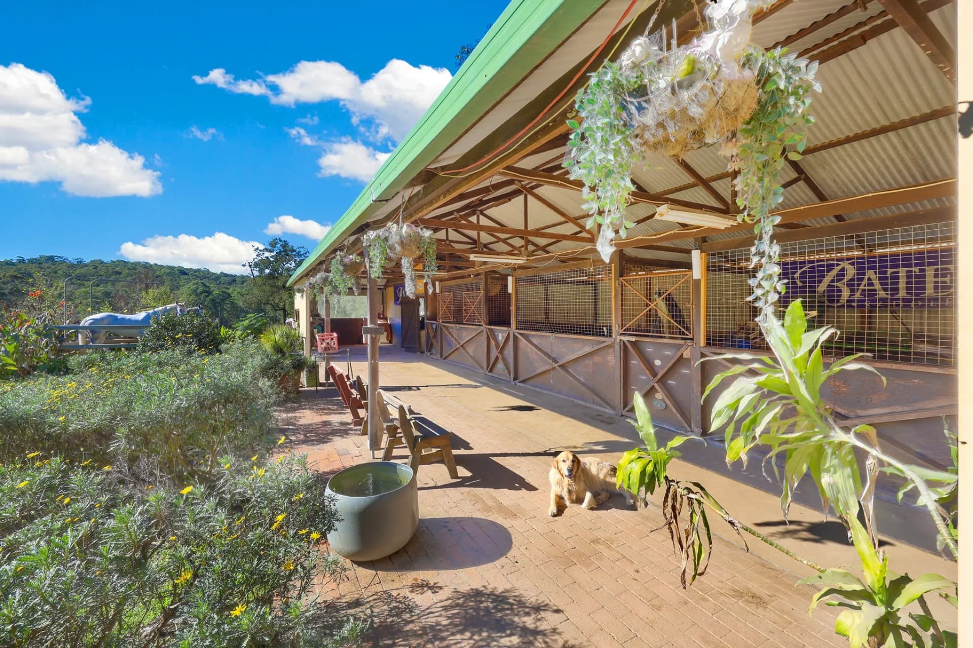 16a St Johns  Road, Maraylya, NSW, Maraylya - Thumbnail 3
