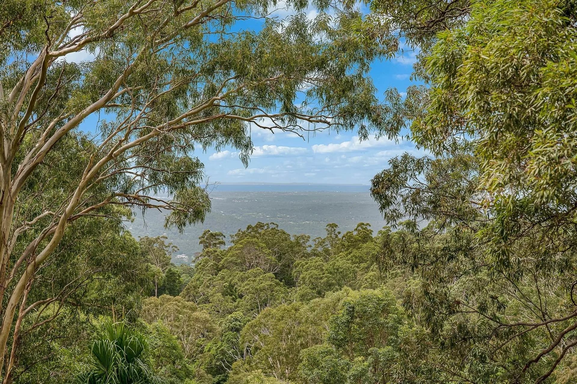 35 Wentworth Avenue, Mount Nebo, QLD, Mount Nebo - Thumbnail 4