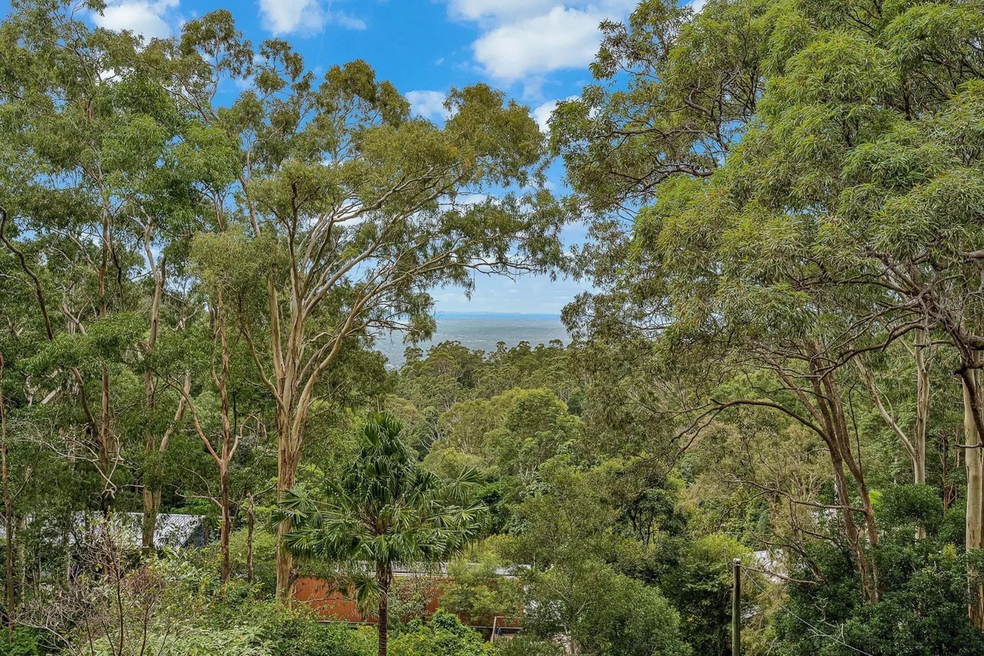 35 Wentworth Avenue, Mount Nebo, QLD, Mount Nebo - Thumbnail 6