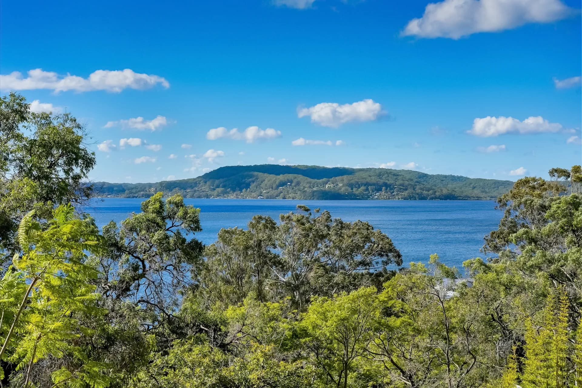35 Nimala Avenue, Koolewong, NSW, Koolewong - Thumbnail 4