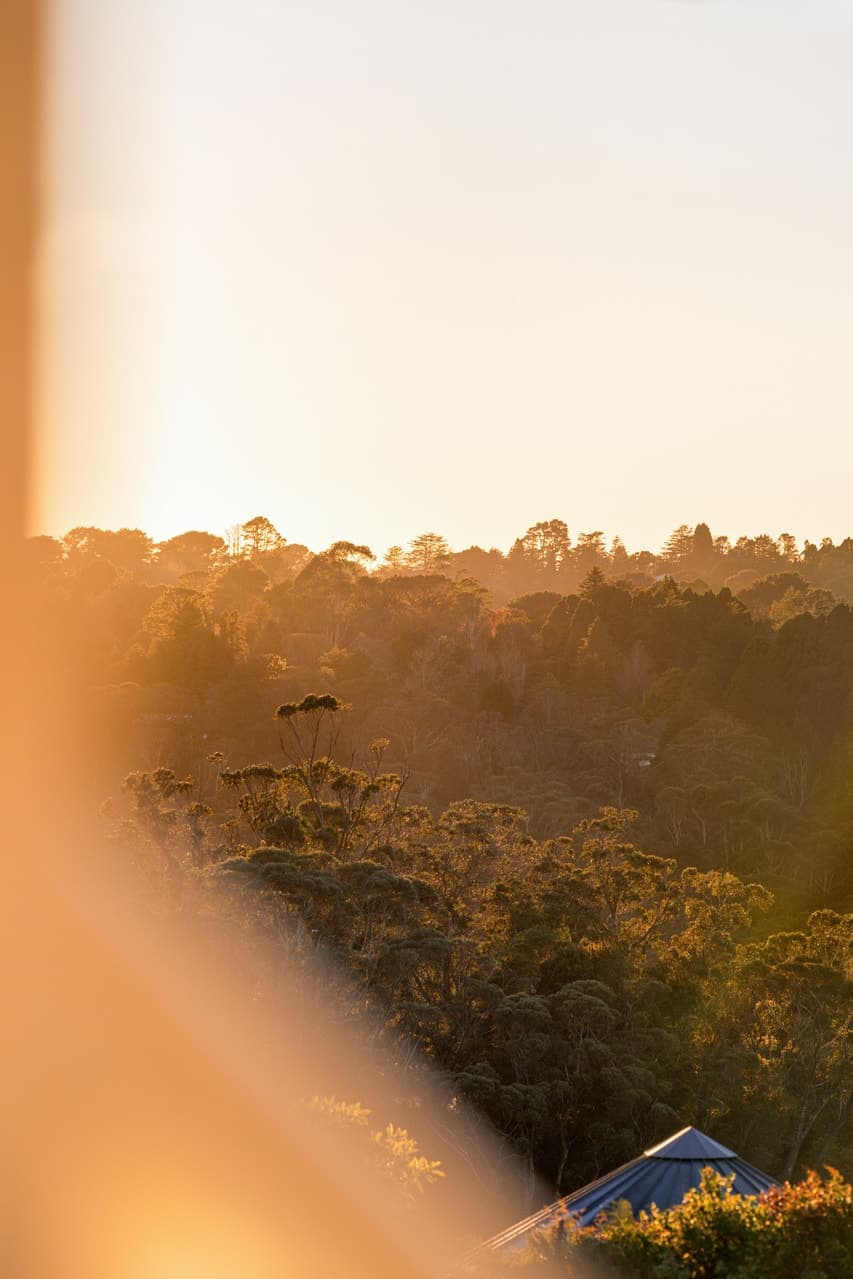 31 Carrington Avenue, Katoomba - Thumbnail 7