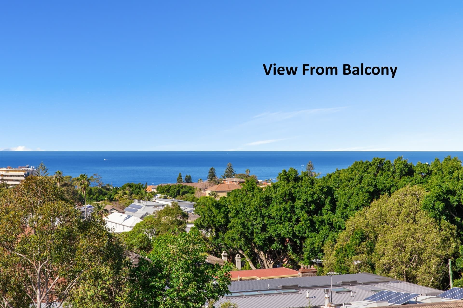 6/36 Bennett Street, Bondi, Bondi - Thumbnail 4