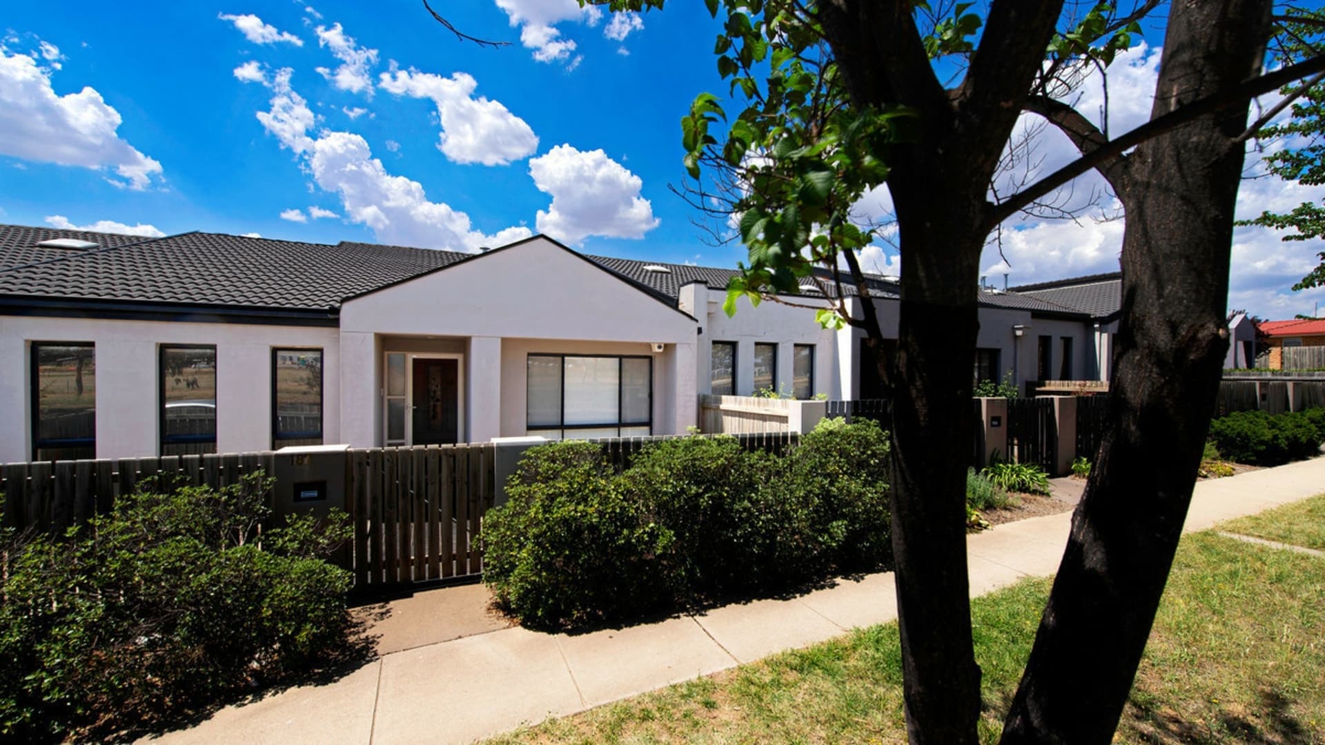 187 Anthony Rolfe Avenue, Gungahlin, Gungahlin - Thumbnail 2