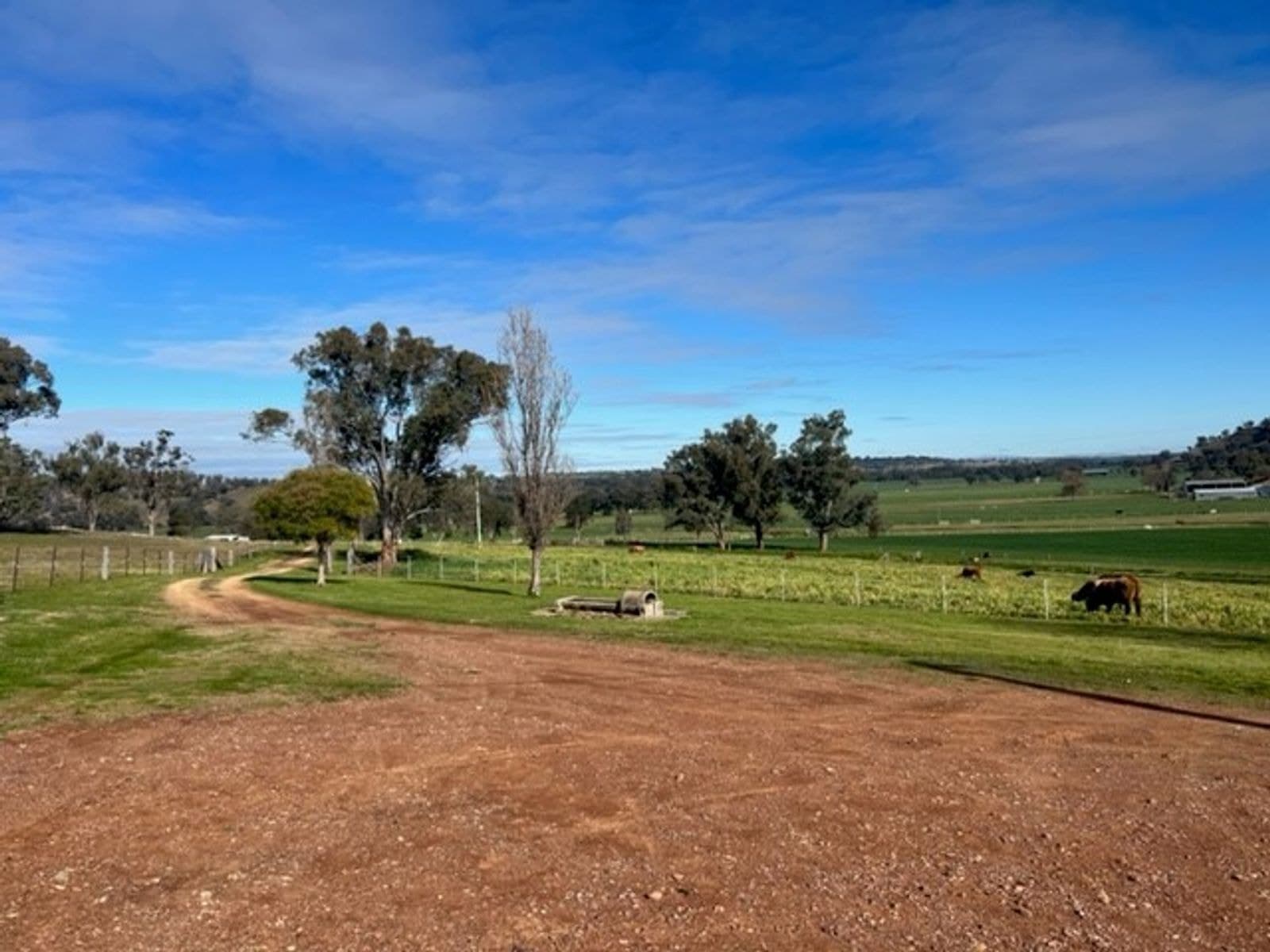52 Trough Gully Road, Dungowan NSW 2340, Dungowan - Thumbnail 6