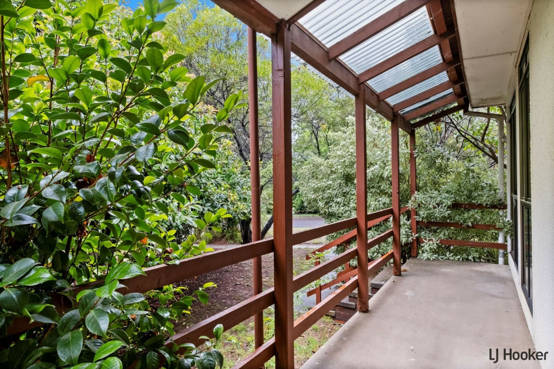 6 Cassinia Street, O'Connor, O'Connor - Image 1