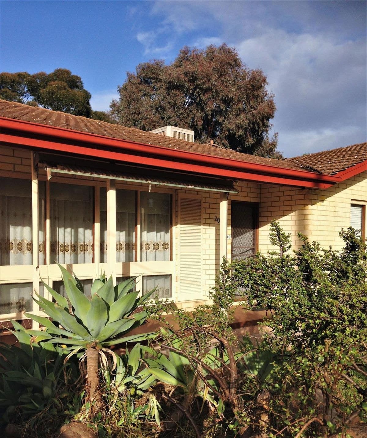 20 Dublin Avenue, Salisbury Downs SA 5108, Salisbury Downs - Thumbnail 2