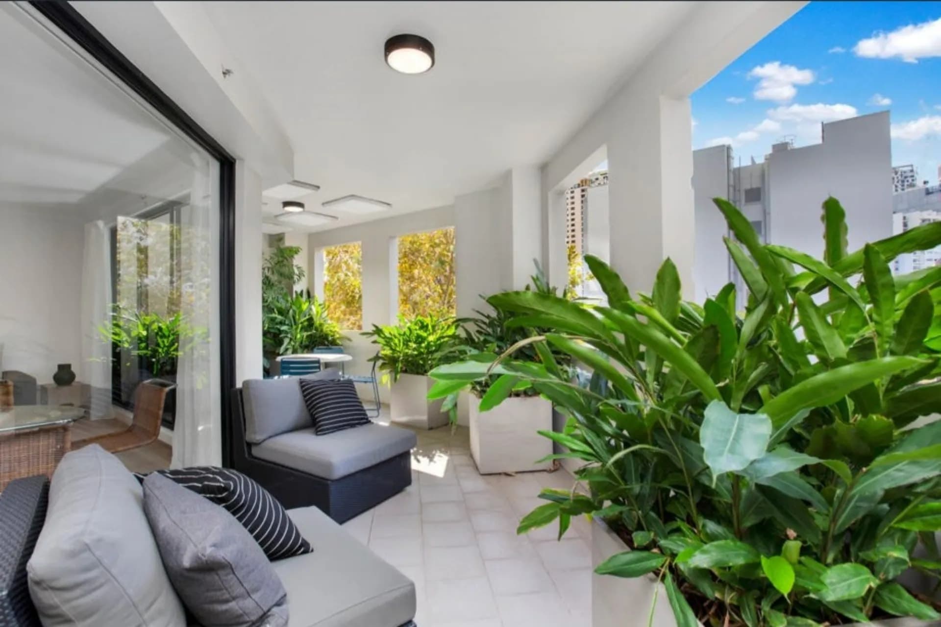 501/242 Elizabeth Street, Surry Hills, NSW, Surry Hills - Image 1