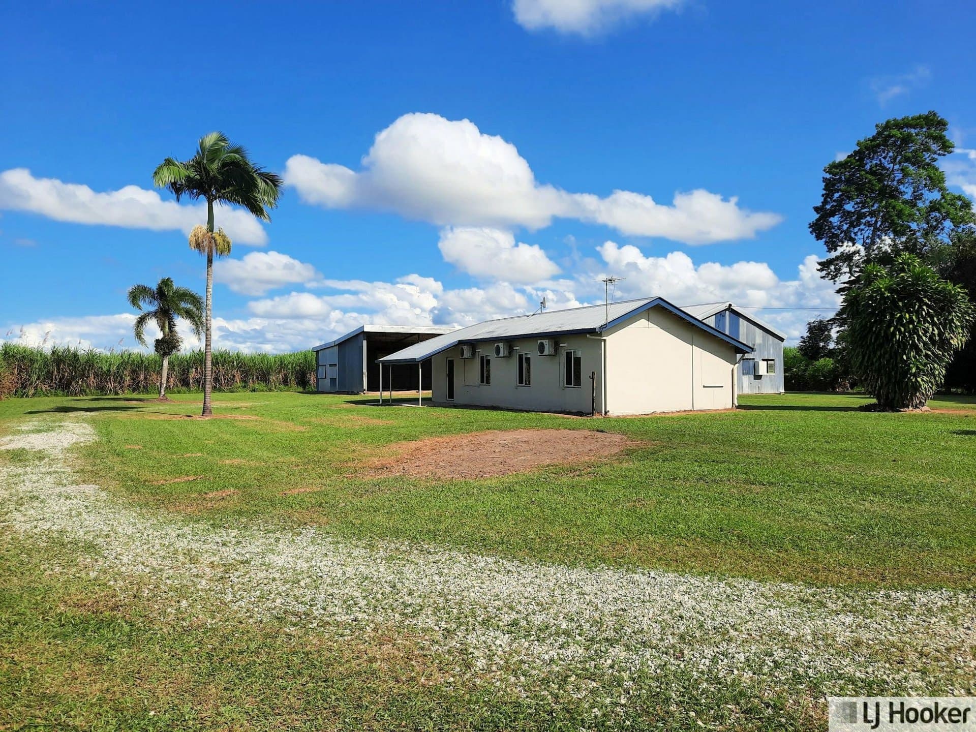 68 Senko, Silky Oak, Silky Oak - Image 1