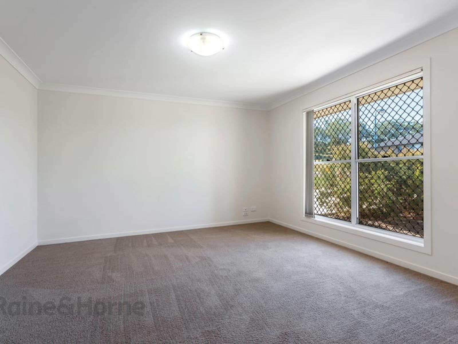 24 Wandoo Crescent, Westbrook QLD 4350, Westbrook - Thumbnail 4