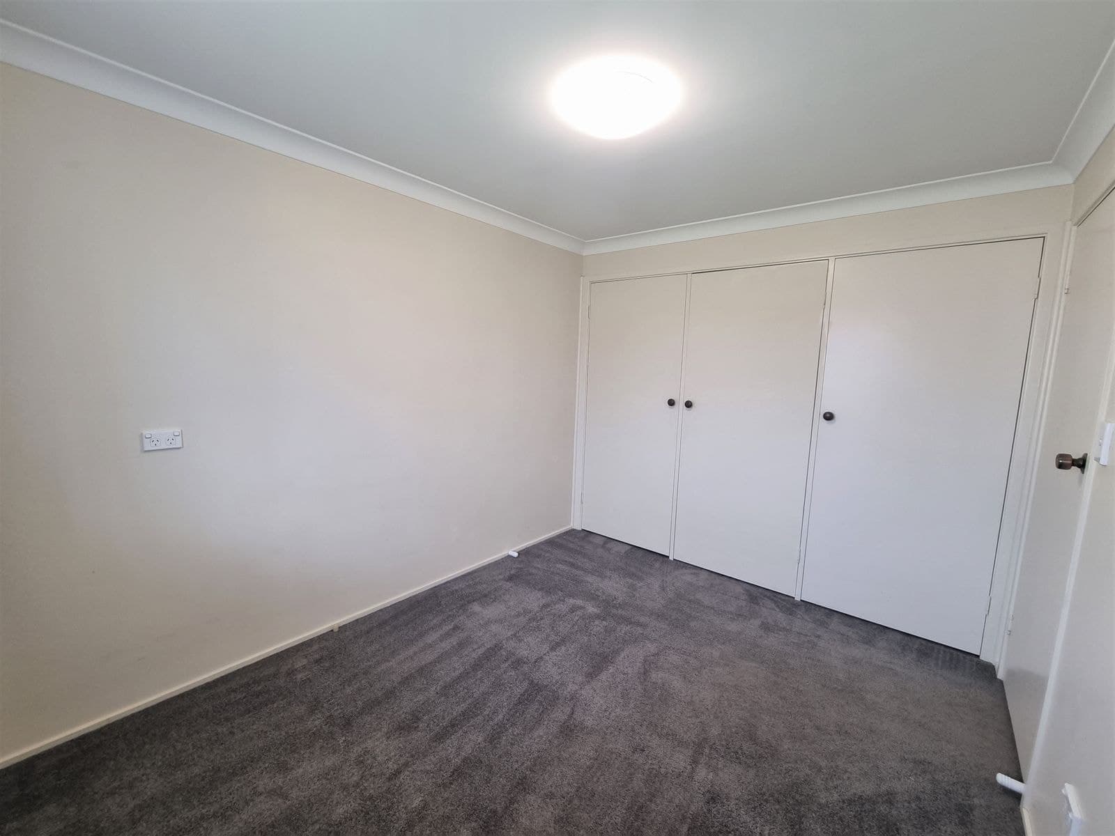 3 Solomon Avenue, Armidale NSW 2350, Armidale - Thumbnail 8
