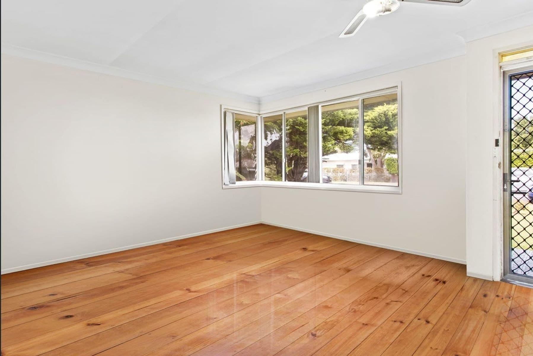 38 Crossingham Street, Toukley NSW 2263, Toukley - Thumbnail 3