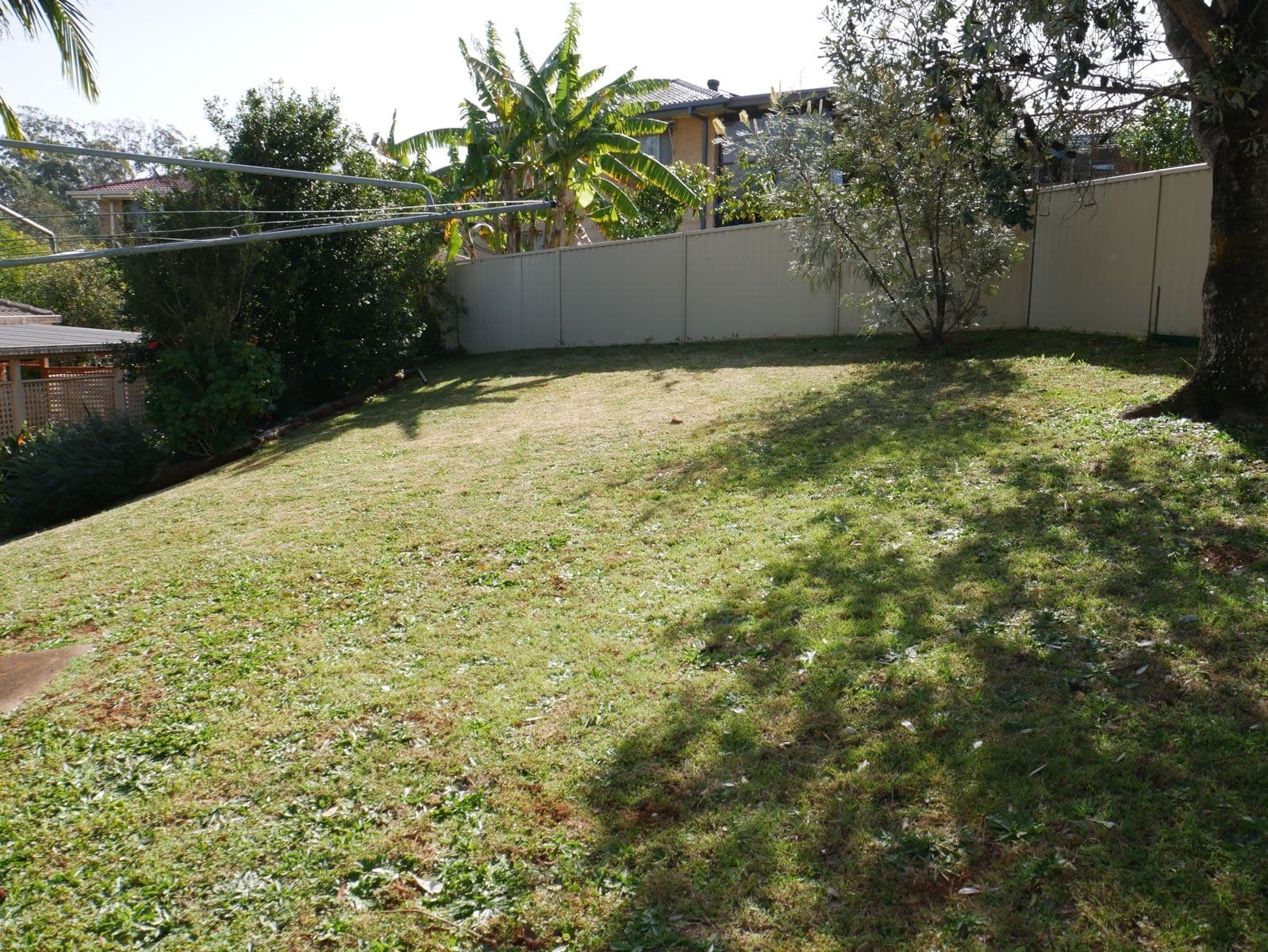 6 Conifer Street, Goonellabah NSW 2480, Goonellabah - Thumbnail 8