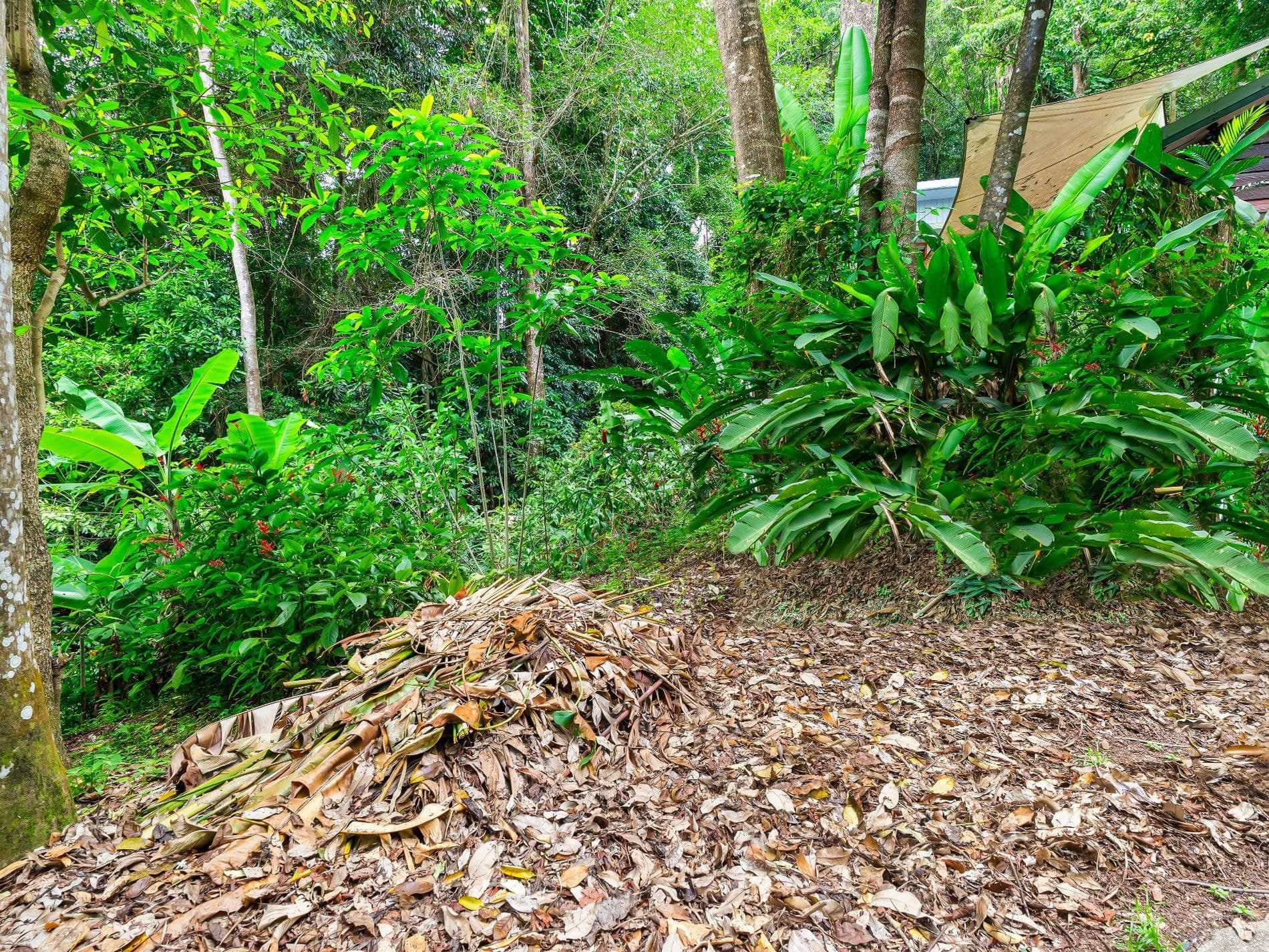 14 Jagera Close, Kamerunga, Kamerunga - Thumbnail 5