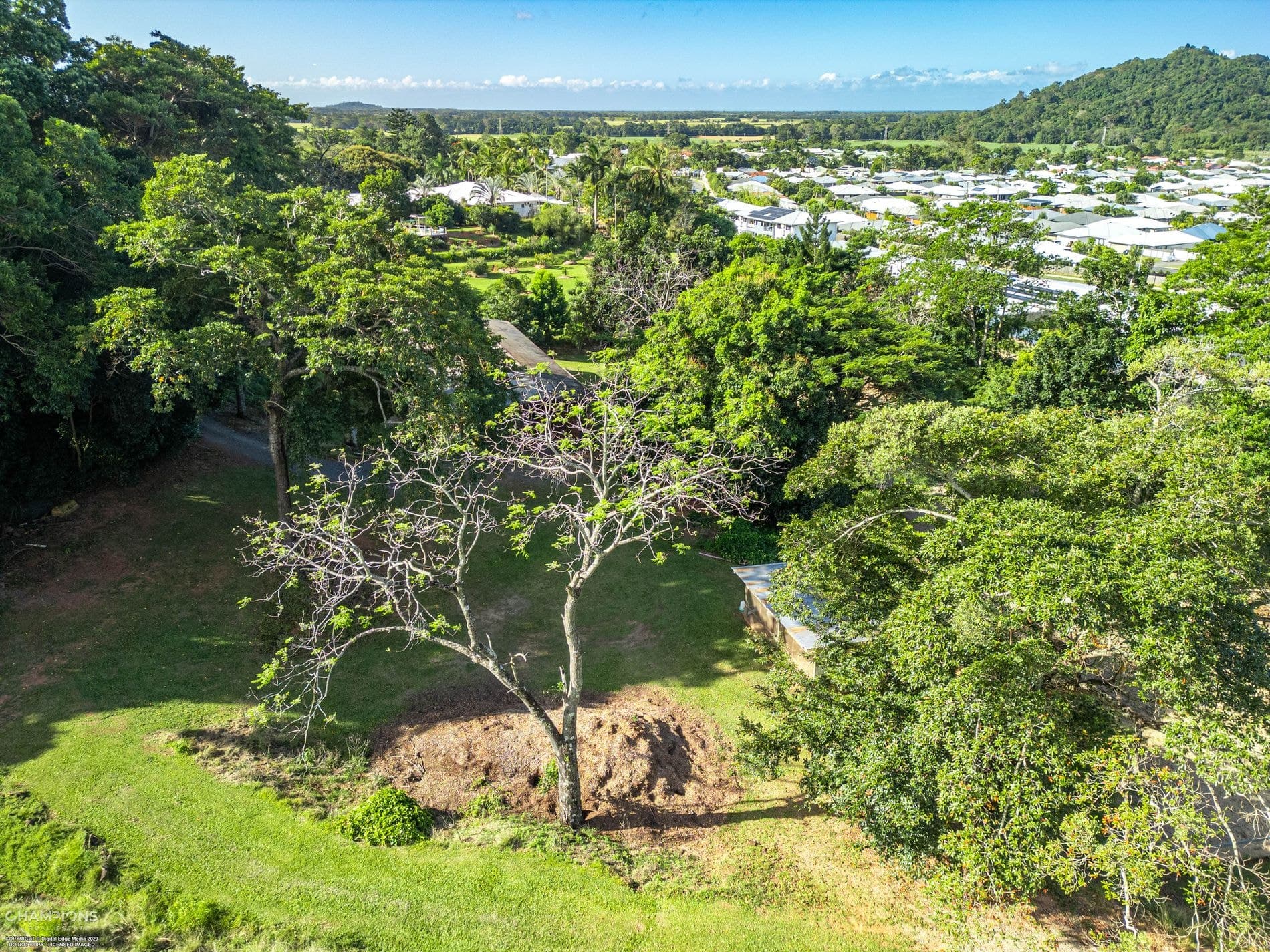 Lot 4,  112 Harvey Road, REDLYNCH, Redlynch - Thumbnail 4