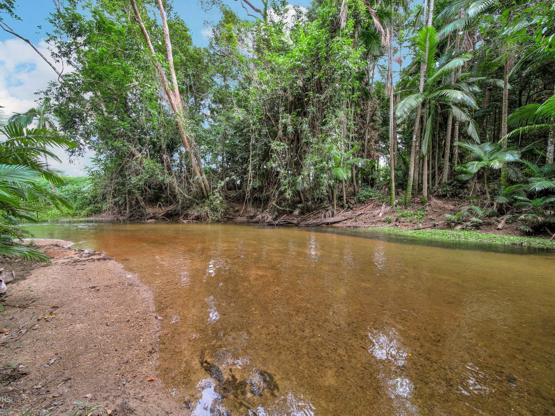 472 Miallo Bamboo Creek Road, 472 Miallo Bamboo Creek Road - Thumbnail 4