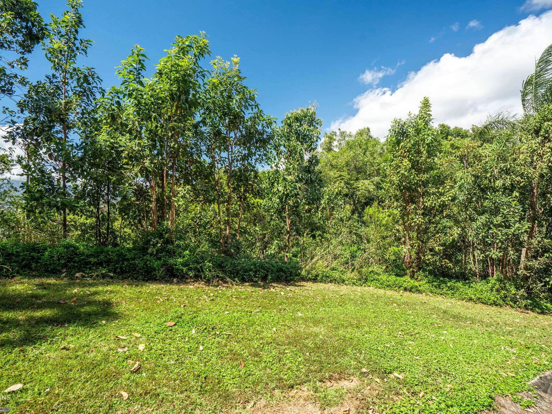 3 Trundle Terrace, WHITFIELD, Whitfield - Thumbnail 4