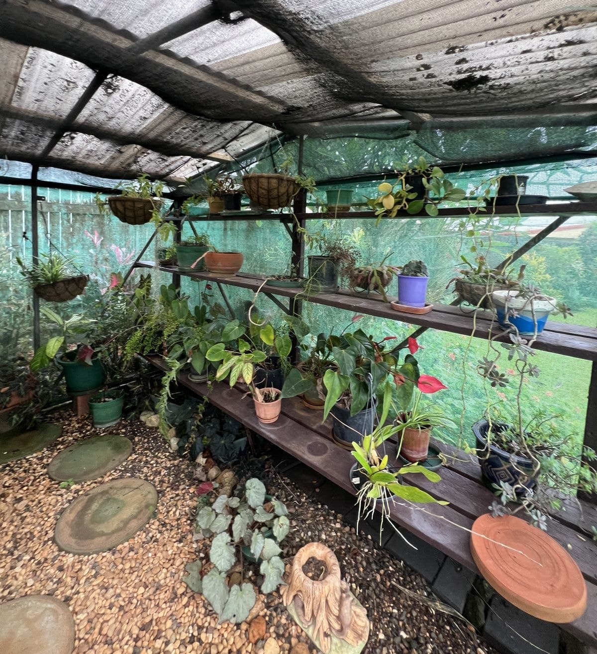 Atherton QLD 4883, Atherton - Thumbnail 7