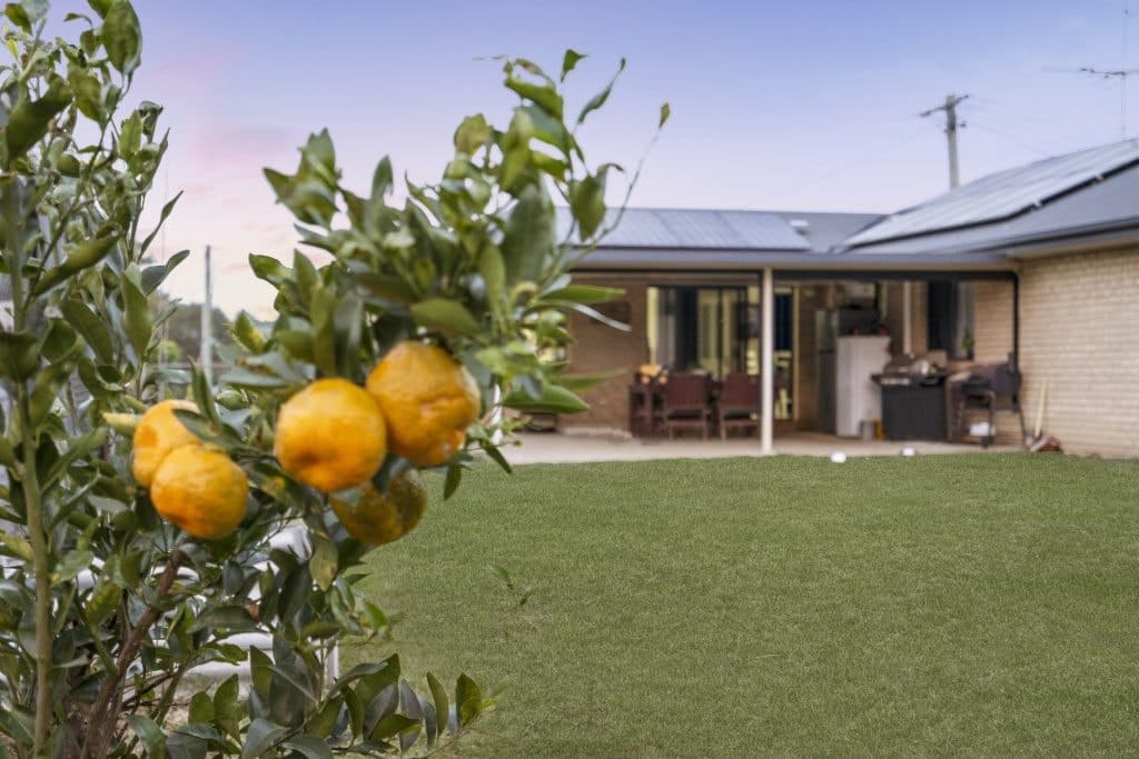5 Stapylton Street, Warrill View - Thumbnail 5