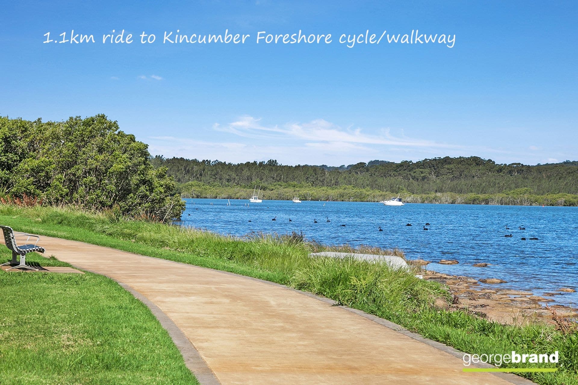 12 Benelong Close KINCUMBER NSW, Kincumber - Thumbnail 6