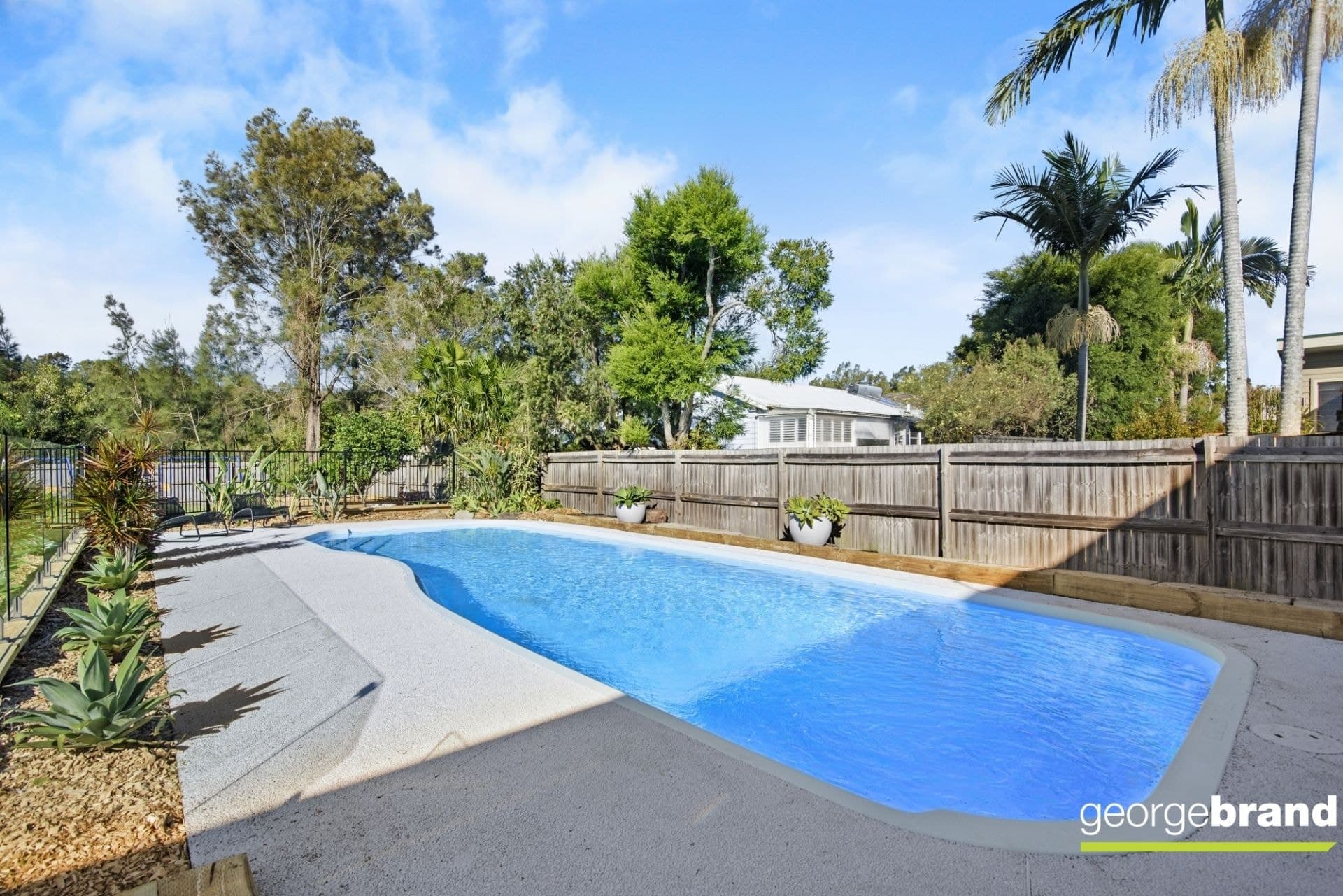 25 Magnolia Avenue DAVISTOWN NSW, Davistown - Thumbnail 3