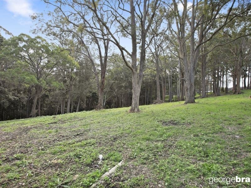 31 Karwin Avenue SPRINGFIELD NSW, Springfield - Thumbnail 5