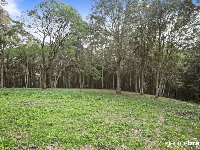 31 Karwin Avenue SPRINGFIELD NSW, Springfield - Thumbnail 6