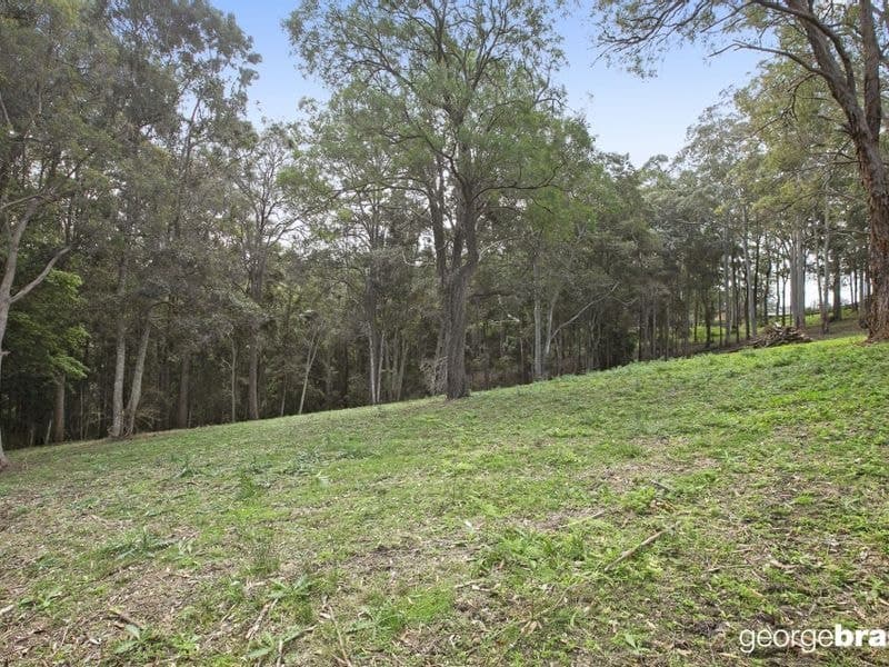 31 Karwin Avenue SPRINGFIELD NSW, Springfield - Thumbnail 7
