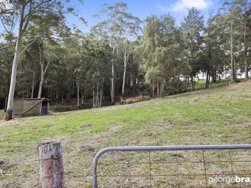 31 Karwin Avenue SPRINGFIELD NSW, Springfield - Thumbnail 8