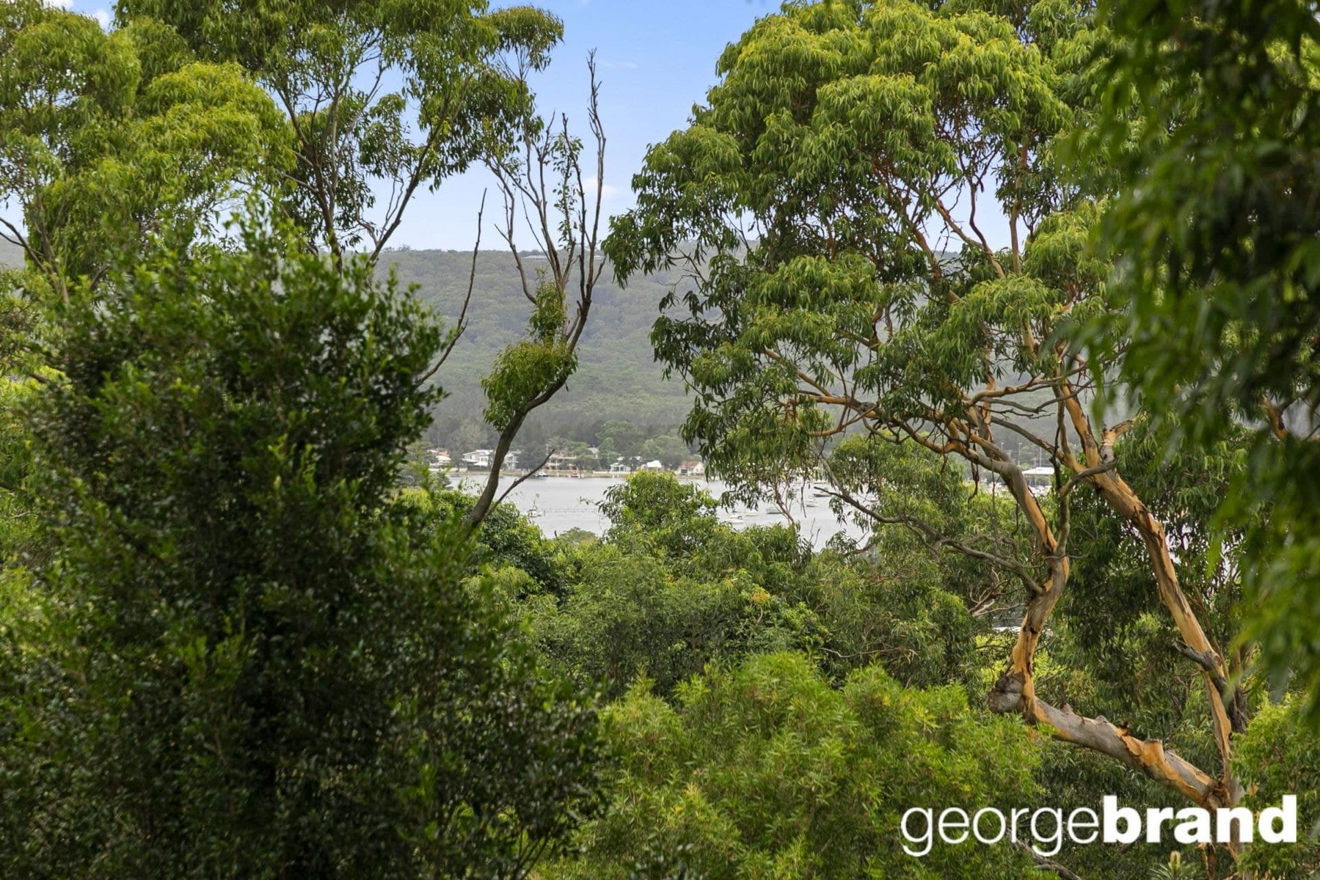 17 Shaw Street SARATOGA NSW, Saratoga - Thumbnail 2