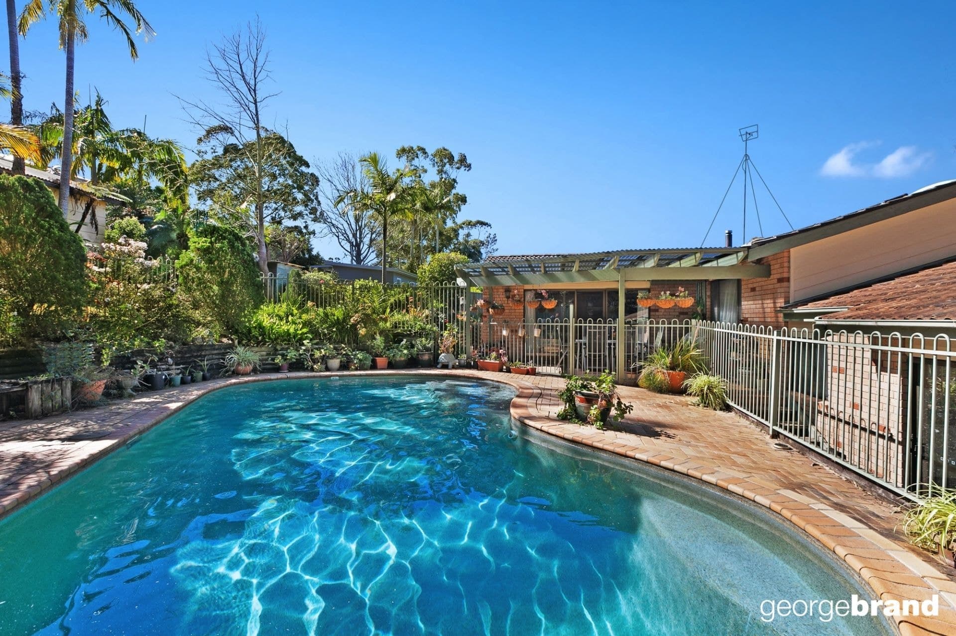 154 Henderson Road SARATOGA NSW, Saratoga - Thumbnail 2